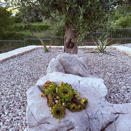 Alta Vista Residence&spa